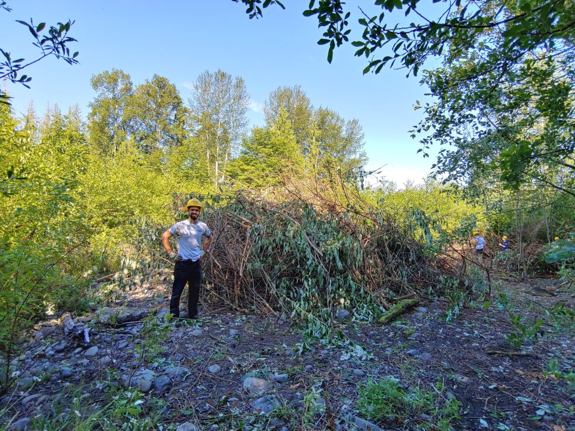 WCC crewmember next to butterfly bush pile, by Torin-Blaker.
