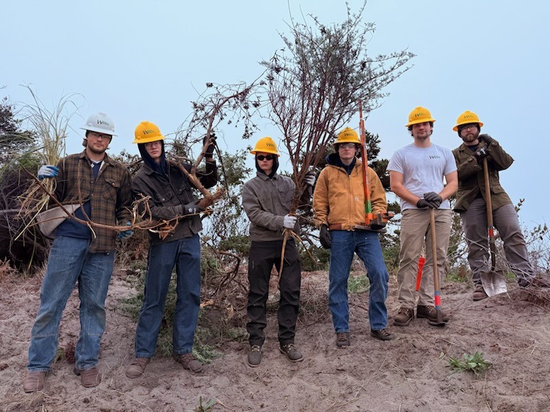 WCC crew pose holding tools and the tree lupine they removed